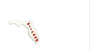 Florida Allroad Badge